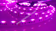 rgb side emitting led strips light 5m 300led 14.4w multicolor flex led tape light