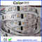 Einzelner kontrollierter UCS2912 zugänglicher RGBW LED Streifen DC5V 60led/m fournisseur