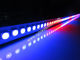 STANGEN-LICHT DC5V 144LED SK6812 RGBW LED fournisseur